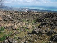 iara Scorciavacca-20110306 019